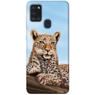 Чохол itsPrint Proud leopard для Samsung Galaxy A21s - Інтернет-магазин спільних покупок ToGether