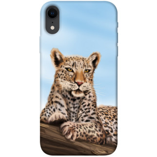Чохол itsPrint Proud leopard для Apple iPhone XR (6.1") - Інтернет-магазин спільних покупок ToGether