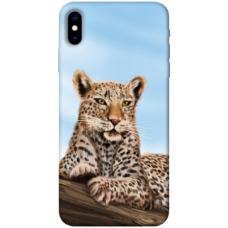 Чохол itsPrint Proud leopard для Apple iPhone X (5.8") - Інтернет-магазин спільних покупок ToGether