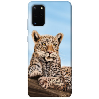 Чохол itsPrint Proud leopard для Samsung Galaxy S20+ - Інтернет-магазин спільних покупок ToGether