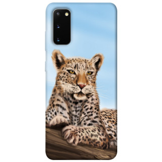 Чохол itsPrint Proud leopard для Samsung Galaxy S20 - Інтернет-магазин спільних покупок ToGether
