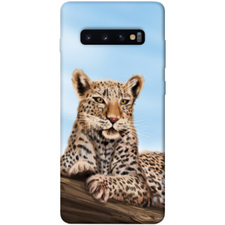 Чохол itsPrint Proud leopard для Samsung Galaxy S10+ - Інтернет-магазин спільних покупок ToGether