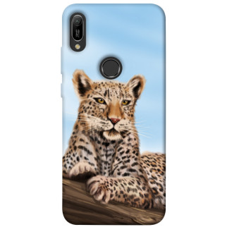 Чохол itsPrint Proud leopard для Huawei Y6 (2019) - Інтернет-магазин спільних покупок ToGether