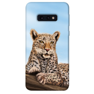 Чохол itsPrint Proud leopard для Samsung Galaxy S10e - Інтернет-магазин спільних покупок ToGether