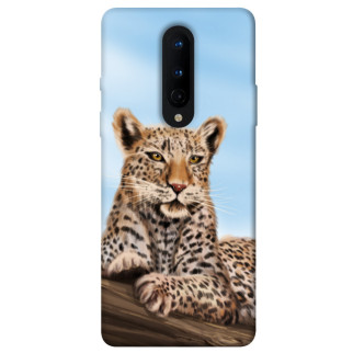 Чохол itsPrint Proud leopard для OnePlus 8 - Інтернет-магазин спільних покупок ToGether