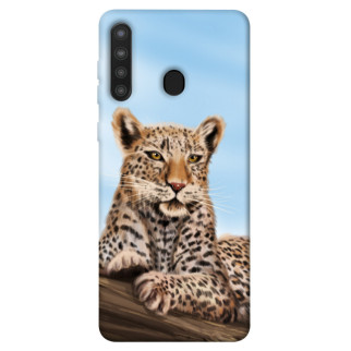 Чохол itsPrint Proud leopard для Samsung Galaxy A21 - Інтернет-магазин спільних покупок ToGether