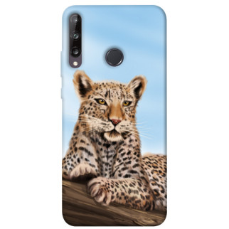 Чохол itsPrint Proud leopard для Huawei P40 Lite E / Y7p (2020) - Інтернет-магазин спільних покупок ToGether