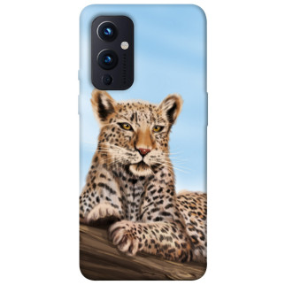 Чохол itsPrint Proud leopard для OnePlus 9 - Інтернет-магазин спільних покупок ToGether