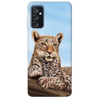 Чохол itsPrint Proud leopard для Samsung Galaxy M52 - Інтернет-магазин спільних покупок ToGether