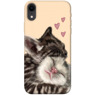 Чохол itsPrint Cats love для Apple iPhone XR (6.1") - Інтернет-магазин спільних покупок ToGether
