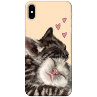 Чохол itsPrint Cats love для Apple iPhone X (5.8") - Інтернет-магазин спільних покупок ToGether