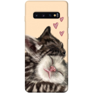 Чохол itsPrint Cats love для Samsung Galaxy S10+ - Інтернет-магазин спільних покупок ToGether