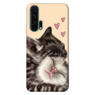 Чохол itsPrint Cats love для Huawei Honor 20 Pro - Інтернет-магазин спільних покупок ToGether