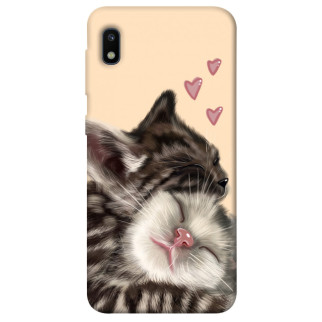 Чохол itsPrint Cats love для Samsung Galaxy A10 (A105F) - Інтернет-магазин спільних покупок ToGether