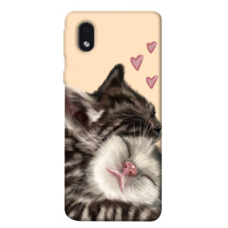 Чохол itsPrint Cats love для Samsung Galaxy M01 Core / A01 Core - Інтернет-магазин спільних покупок ToGether