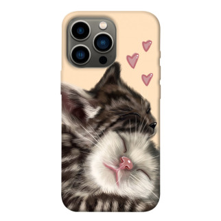 Чохол itsPrint Cats love для Apple iPhone 13 Pro (6.1") - Інтернет-магазин спільних покупок ToGether