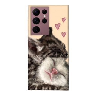 Чохол itsPrint Cats love для Samsung Galaxy S22 Ultra - Інтернет-магазин спільних покупок ToGether