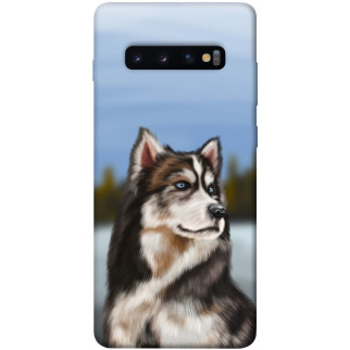 Чохол itsPrint Wolf для Samsung Galaxy S10+ - Інтернет-магазин спільних покупок ToGether