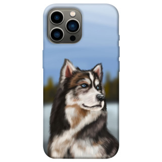 Чохол itsPrint Wolf для Apple iPhone 12 Pro Max (6.7") - Інтернет-магазин спільних покупок ToGether