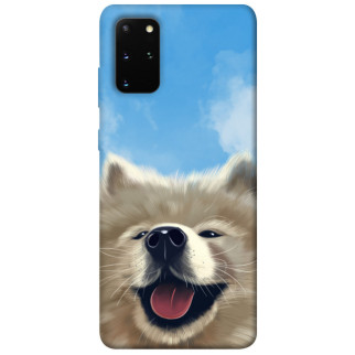 Чохол itsPrint Samoyed husky для Samsung Galaxy S20+ - Інтернет-магазин спільних покупок ToGether