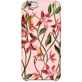 Чохол itsPrint Floral motifs для Apple iPhone 6/6s plus (5.5") - Інтернет-магазин спільних покупок ToGether