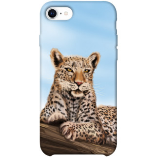 Чохол itsPrint Proud leopard для Apple iPhone SE (2020) - Інтернет-магазин спільних покупок ToGether