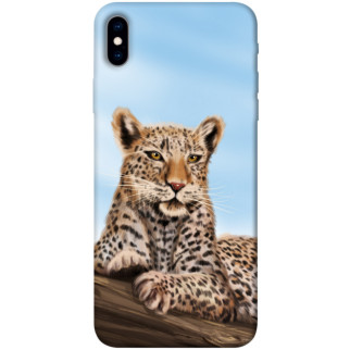 Чохол itsPrint Proud leopard для Apple iPhone XS Max (6.5") - Інтернет-магазин спільних покупок ToGether