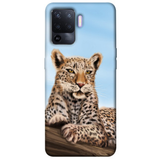 Чохол itsPrint Proud leopard для Oppo A94 - Інтернет-магазин спільних покупок ToGether