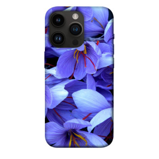 Чохол itsPrint Фіолетовий сад для Apple iPhone 14 Pro (6.1") - Інтернет-магазин спільних покупок ToGether