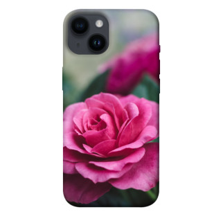 Чохол itsPrint Троянда у саду для Apple iPhone 14 (6.1") - Інтернет-магазин спільних покупок ToGether