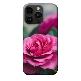 Чохол itsPrint Троянда у саду для Apple iPhone 14 Pro (6.1") - Інтернет-магазин спільних покупок ToGether
