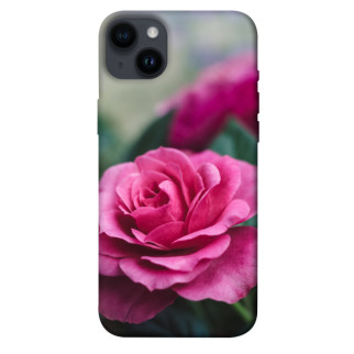 Чохол itsPrint Троянда у саду для Apple iPhone 14 Plus (6.7") - Інтернет-магазин спільних покупок ToGether