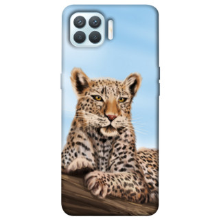 Чохол itsPrint Proud leopard для Oppo F17 Pro - Інтернет-магазин спільних покупок ToGether