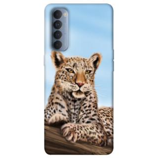 Чохол itsPrint Proud leopard для Oppo Reno 4 Pro - Інтернет-магазин спільних покупок ToGether