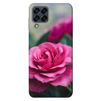 Чохол itsPrint Троянда у саду для Samsung Galaxy M33 5G - Інтернет-магазин спільних покупок ToGether