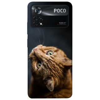 Чохол itsPrint Рудий кіт для Xiaomi Poco X4 Pro 5G - Інтернет-магазин спільних покупок ToGether