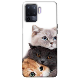 Чохол itsPrint Три коти для Oppo A94 - Інтернет-магазин спільних покупок ToGether