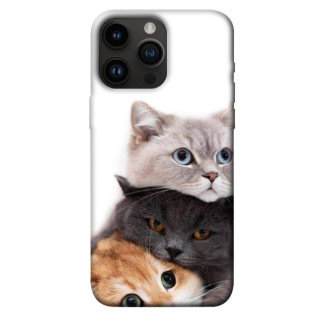 Чохол itsPrint Три коти для Apple iPhone 14 Pro Max (6.7") - Інтернет-магазин спільних покупок ToGether