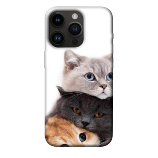 Чохол itsPrint Три коти для Apple iPhone 14 Pro (6.1") - Інтернет-магазин спільних покупок ToGether