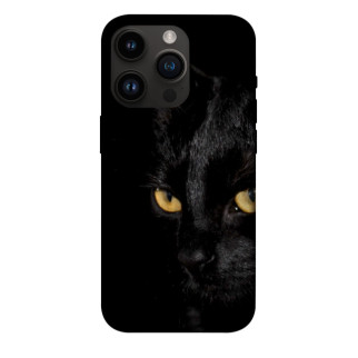 Чохол itsPrint Чорний кіт для Apple iPhone 14 Pro (6.1") - Інтернет-магазин спільних покупок ToGether