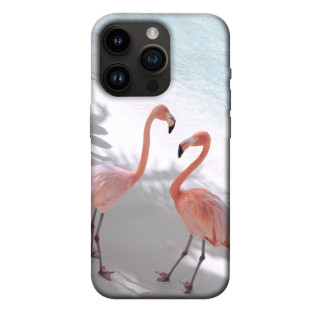 Чохол itsPrint Flamingos для Apple iPhone 14 Pro (6.1") - Інтернет-магазин спільних покупок ToGether