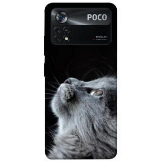 Чохол itsPrint Cute cat для Xiaomi Poco X4 Pro 5G - Інтернет-магазин спільних покупок ToGether