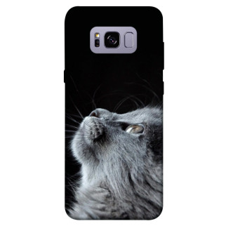 Чохол itsPrint Cute cat для Samsung G955 Galaxy S8 Plus - Інтернет-магазин спільних покупок ToGether