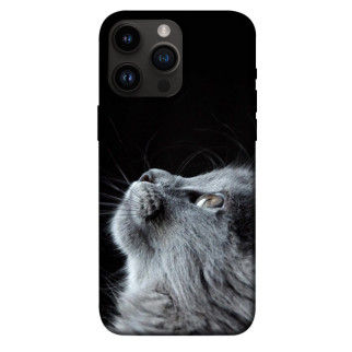 Чохол itsPrint Cute cat для Apple iPhone 14 Pro Max (6.7") - Інтернет-магазин спільних покупок ToGether