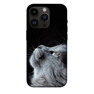 Чохол itsPrint Cute cat для Apple iPhone 14 Pro (6.1") - Інтернет-магазин спільних покупок ToGether