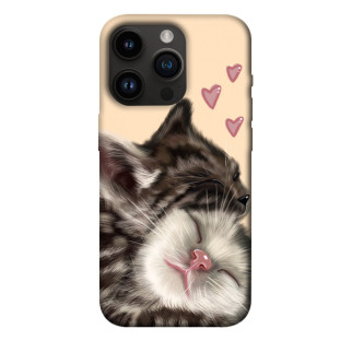 Чохол itsPrint Cats love для Apple iPhone 14 Pro (6.1") - Інтернет-магазин спільних покупок ToGether