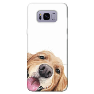 Чохол itsPrint Funny dog для Samsung G955 Galaxy S8 Plus - Інтернет-магазин спільних покупок ToGether