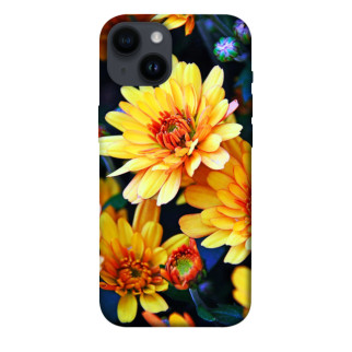 Чохол itsPrint Yellow petals для Apple iPhone 14 (6.1") - Інтернет-магазин спільних покупок ToGether
