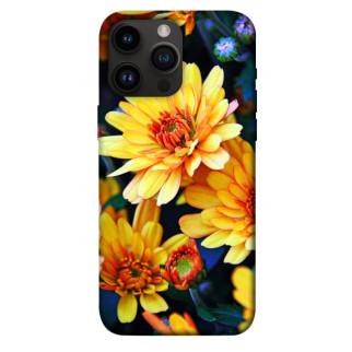 Чохол itsPrint Yellow petals для Apple iPhone 14 Pro Max (6.7") - Інтернет-магазин спільних покупок ToGether