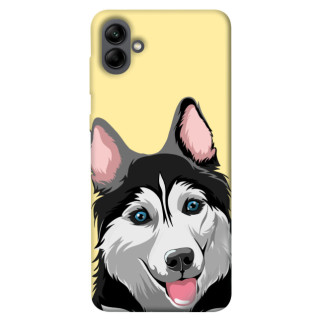 Чохол itsPrint Husky dog для Samsung Galaxy A04 - Інтернет-магазин спільних покупок ToGether